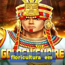 floricultura em franca sp