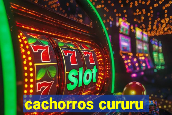 cachorros cururu