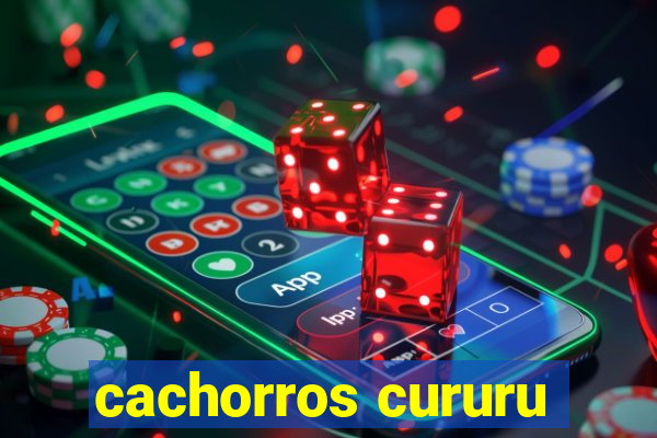 cachorros cururu