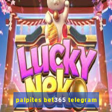 palpites bet365 telegram
