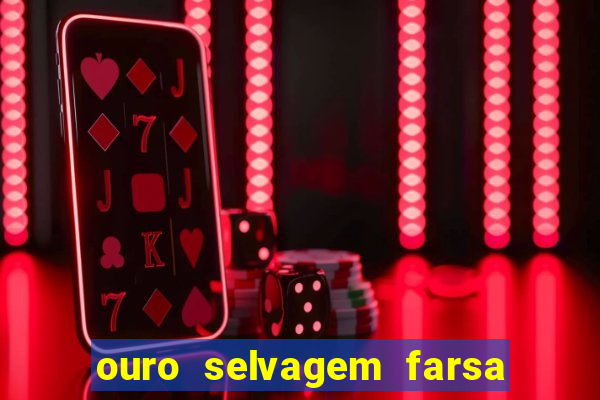ouro selvagem farsa ouro selvagem o que aconteceu