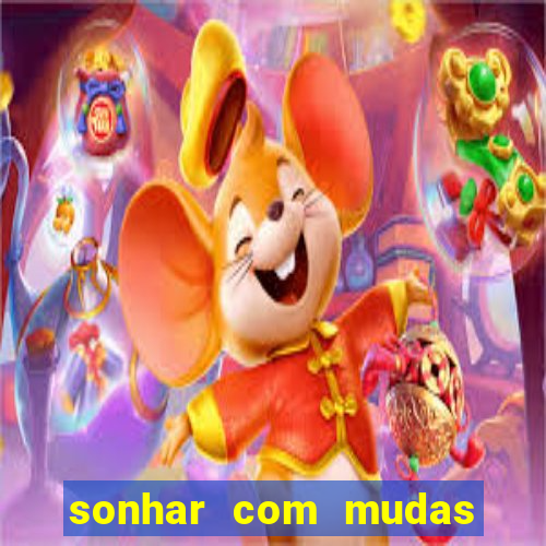 sonhar com mudas de plantas