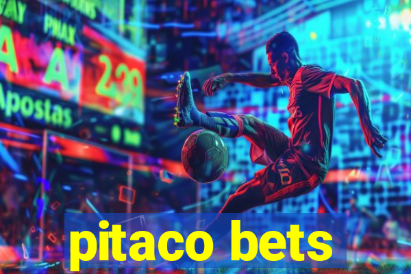 pitaco bets