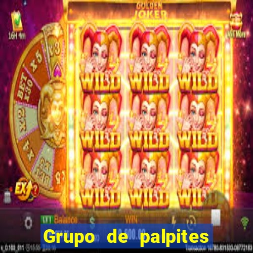 Grupo de palpites de futebol gratis