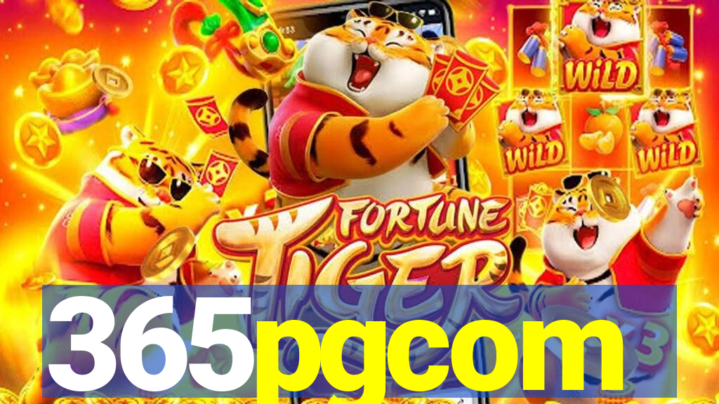 365pgcom
