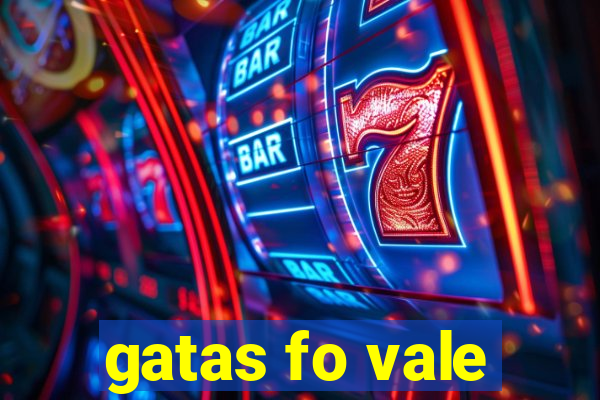 gatas fo vale