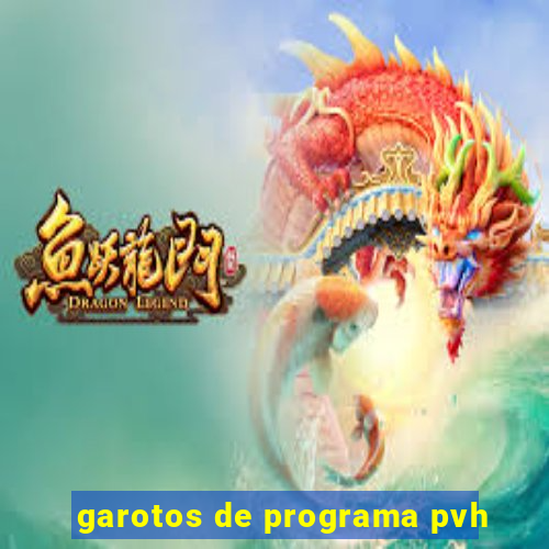 garotos de programa pvh