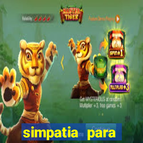 simpatia para ganhar na mega sena com arroz