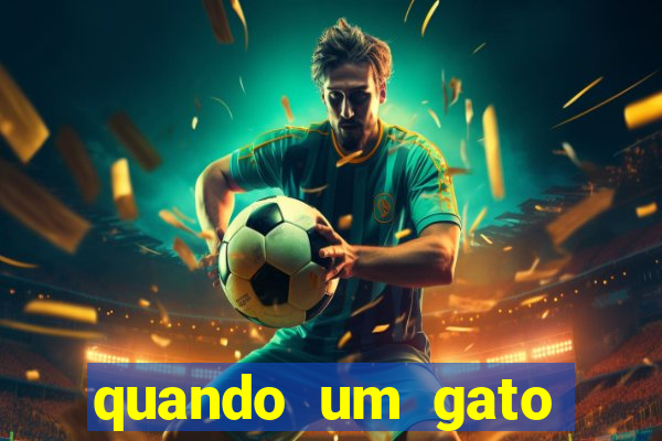 quando um gato aparece do nada significado espiritual