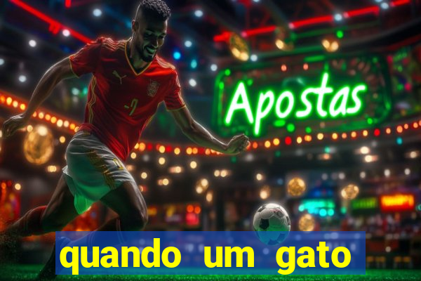 quando um gato aparece do nada significado espiritual