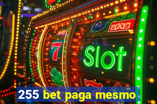 255 bet paga mesmo