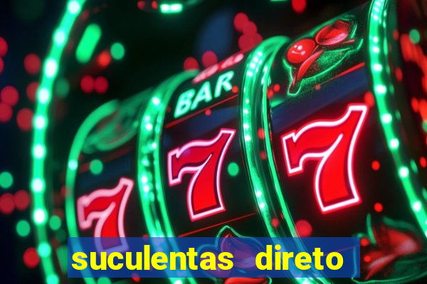 suculentas direto do produtor rs