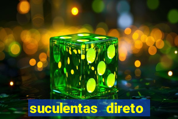 suculentas direto do produtor rs