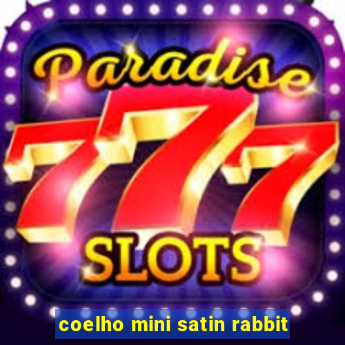 coelho mini satin rabbit