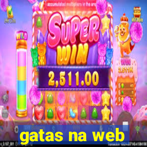 gatas na web
