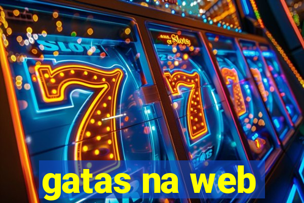 gatas na web