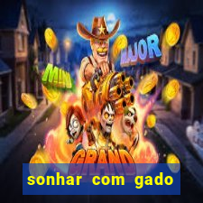 sonhar com gado jogo do bicho