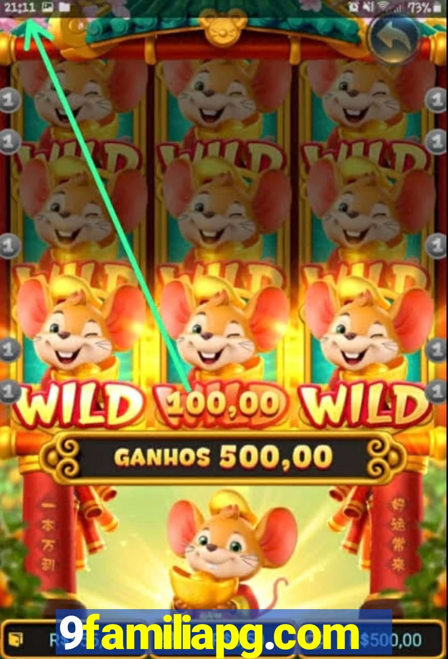 9familiapg.com
