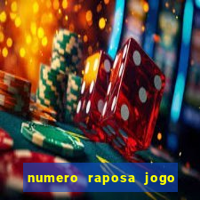 numero raposa jogo do bicho