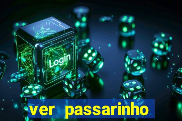 ver passarinho morto significado espiritual