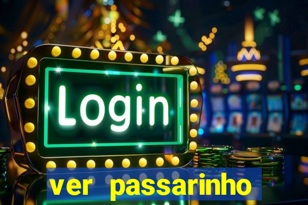 ver passarinho morto significado espiritual
