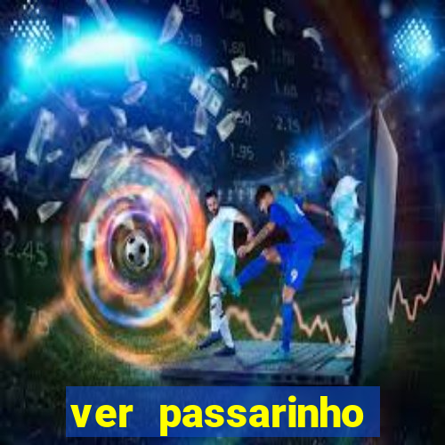 ver passarinho morto significado espiritual