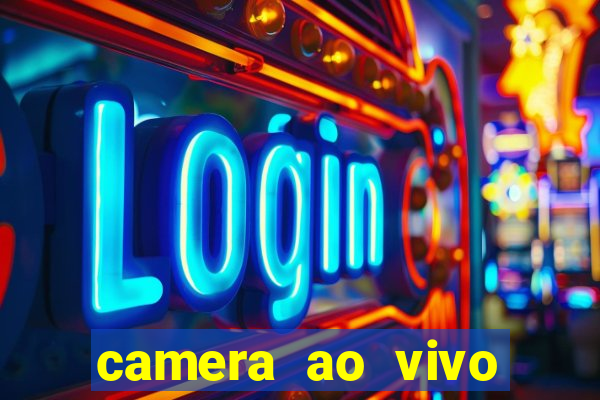 camera ao vivo porto de galinhas