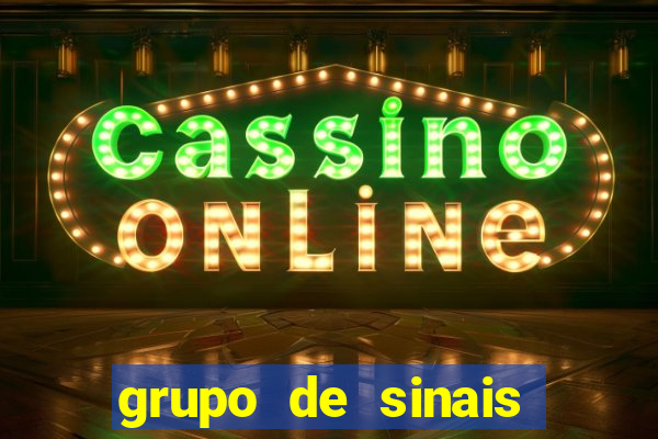 grupo de sinais fortune rabbit