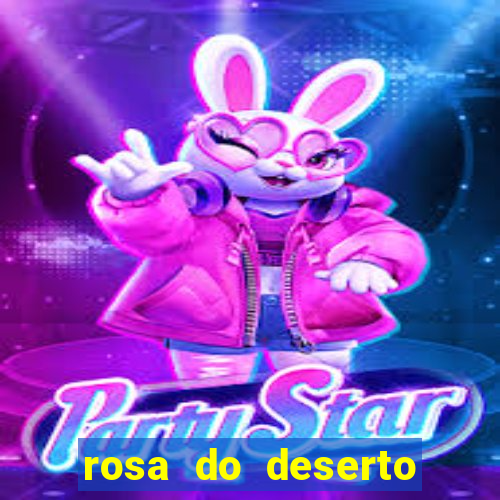 rosa do deserto lilac frost