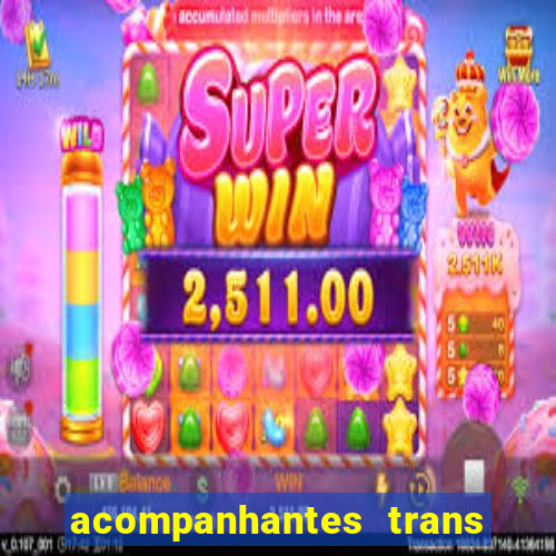 acompanhantes trans baixada fluminense