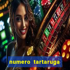 numero tartaruga jogo do bicho