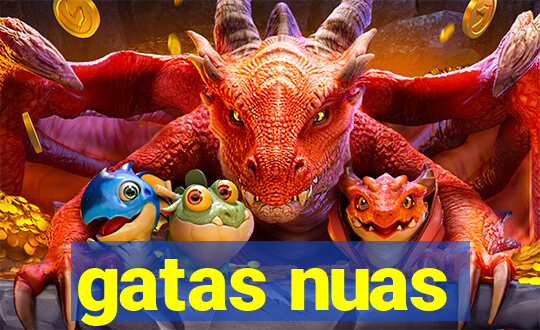 gatas nuas